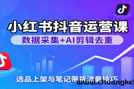 小红书抖音运营课：数据采集+AI剪辑去重，选品上架与笔记带货流量技巧