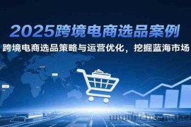 2025跨境电商选品案例，跨境电商选品策略与运营优化，挖掘蓝海市场