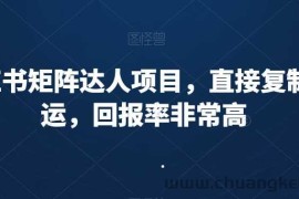 小红书矩阵达人项目，直接复制搬运，回报率非常高