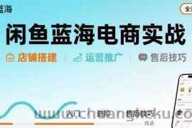 闲鱼蓝海电商实战，店铺搭建运营售后全流程