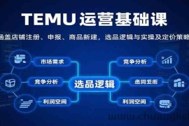 TEMU运营基础课：涵盖店铺注册、申报、商品新建，选品逻辑与实操及定价策略等