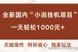 （16833期）全新国内小说挂G项目，多窗口无脑跑，一天轻松1k+，特别省心【揭秘】