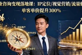 （16249期）商业咨询变现落地课：IP定位/视觉营销/流量转化，单客单价提升300%