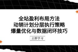 （14698期）全站盈利布局方法：动销计划分层执行策略，爆量优化与数据闭环技巧