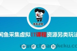 闲鱼采集虚拟IT课程资源另类玩法，干货满满
