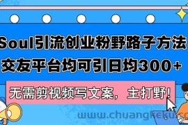 （12281期）Soul引流创业粉野路子方法，交友平台均可引日均300+，无需剪视频写文案…