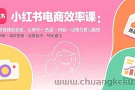 （15838期）小红书电商效率课：从账号搭建到变现，以养号-选品-内容-运营为核心链路
