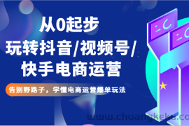 从0起步玩转抖音/视频号/快手电商运营 告别野路子，学懂电商运营爆单玩法