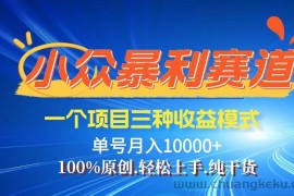 （12579期）【老人言】-视频号爆火赛道，三种变现方式，0粉新号调调爆款