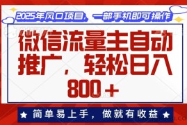 （13993期）微信流量主自动推广，轻松日入800+，简单易上手，做就有收益。