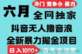 2025年6月高爆抖音无人直播最新撸音浪掘金项目，无脑日入1k+，低门槛小白可做，可矩阵放大【揭秘】