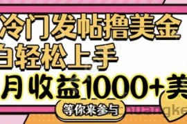 冷门发帖撸美金项目，月收益1000+美金，简单无脑，干就完了【揭秘】