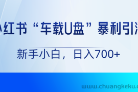 小红书“车载U盘”项目，暴利引流，新手小白轻松日入700+