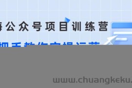 （2633期）蓝海公众号项目训练营，手把手教你实操运营公众号和小程序变现