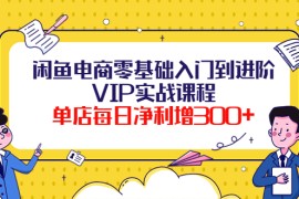 （3991期）闲鱼电商零基础入门到进阶VIP实战课程，单店每日净利增300+（37节课）