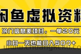 咸鱼虚拟资料变现，冷门信息差项目，一单20米，小白一天也能日入5张+