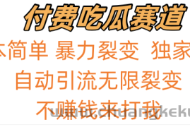 吃瓜付费赛道，暴力无限裂变，0成本，实测日入700+！！！