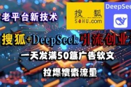 搜狐+DeepSeek引流创业粉，老平台新技术，一天发满50篇广告软文，拉爆搜索流量