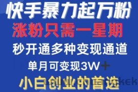 快手暴力起万粉，涨粉只需一星期，多种变现模式，直接秒开万合，单月变现过W【揭秘】