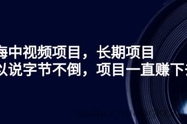 （2624期）蓝海中视频项目，长期项目，可以说字节不倒，项目一直赚下去！