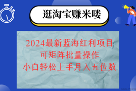 （12033期）2024淘宝蓝海红利项目，无脑搬运操作简单，小白轻松月入五位数，可矩阵…