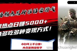 （12252期）最爆热点黑神话悟空游戏，增热点日赚5000+一鱼多吃多种变现方式！可立…