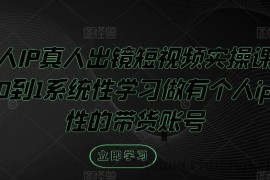 个人IP真人出镜短视频实操课，从0到1系统性学习做有个人ip属性的带货账号