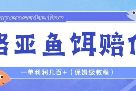 （6572期）最新路亚鱼饵打假赔付玩法，一单利润几百+（保姆级教程）