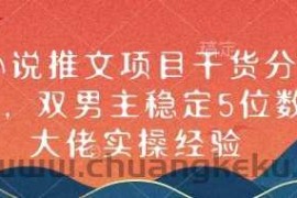 小说推文项目干货分享，双男主稳定5位数大佬实操经验