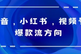 （6085期）抖音，小红书，视频号爆款流视频制作，简单制作掌握流量密码