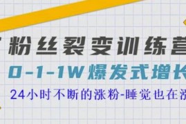 当猩学堂粉丝裂变训练营，0-1-1w爆发式增长，24小时不断的涨粉-睡觉也在涨-16节课