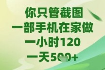 你只管截图，一部手机在家做，苹果安卓都可以，一天5张+【揭秘】