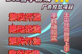 （16175期）抖音小游戏广告推广项目，2025最新实测落地，单日收益300+
