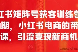 小红书矩阵号获客训练营第10期，小红书电商的带货课，引流变现新商机