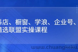 （2640期）抖店、橱窗、学浪、企业号、精选联盟实操课程