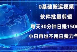 （13936期）0基础搬运视频，批量剪辑，每天30分钟日赚1500+，小白再也不用白费…