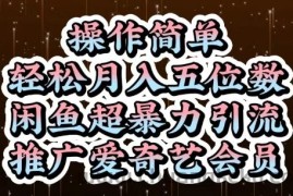 闲鱼超暴力引流推广爱奇艺会员，操作简单，轻松月入5位数