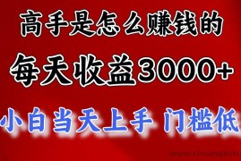 （12144期）1天收益3000+，月收益10万以上，24年8月份爆火项目