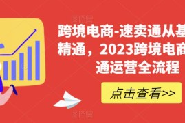 （6208期）速卖通从0基础到精通，2023跨境电商-速卖通运营实战全流程