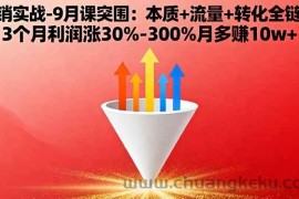 （16152期）营销实战-9月突围课:本质+流量+转化全链路 3个月利润涨30%-300%月多赚10w+
