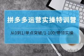 （3417期）青云:拼多多运营实操特训营：从0到1/单点突破/1-100/带领实操