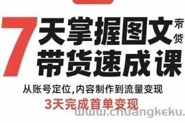 （15731期）7天掌握图文带货速成课：从账号定位,内容制作到流量变现,3天完成首单变现
