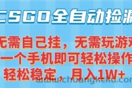 CSGO自动捡漏项目，最新独家玩法，一个手机可操作，新手小白轻松月入1W+，操作简单易上手【揭秘】