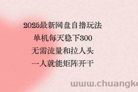 （15831期）2025最新网盘自撸玩法，单机每天稳下3张，无需流量和拉人头，一个人就…