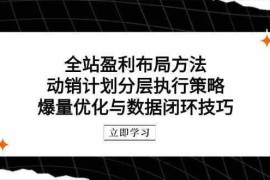 全站盈利布局方法：动销计划分层执行策略，爆量优化与数据闭环技巧