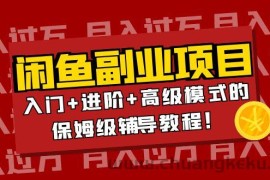 （3879期）月入过万闲鱼副业项目：入门+进阶+高级模式的保姆级辅导教程！