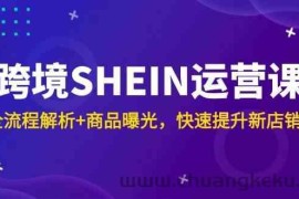 跨境SHEIN运营课，全流程解析+商品曝光，快速提升新店销量