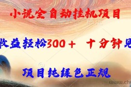（15658期）小说全自动挂机项目，单日收益轻松300，十分钟见收益，项目纯绿色正规