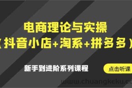 电商理论与实操（抖音小店+淘系+拼多多）新手到进阶系列课程