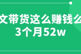 （6372期）图文带货这么赚钱么? 3个月52W 图文带货运营加强课